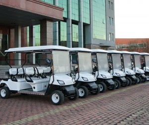 2-8 jog cart golf listrik mati-dalan papat-wheel nyawang mobil kanggo obyek wisata hotel