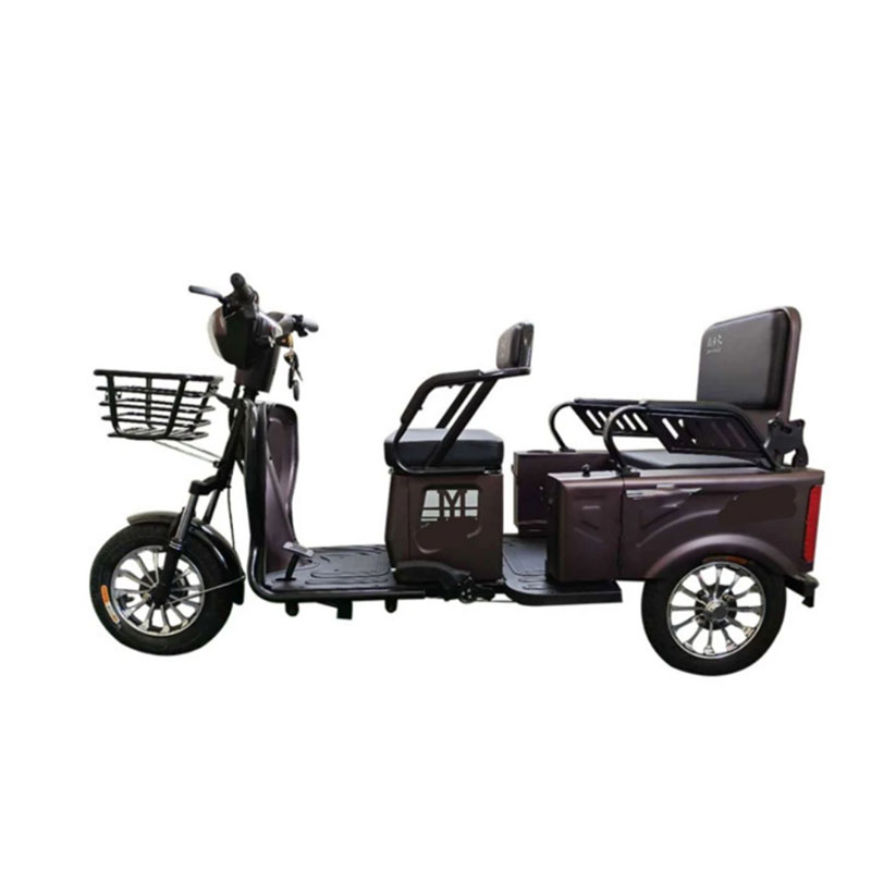 Električni tricikl na 3 kotača, električni tricikl