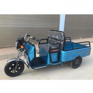 Factory price customize electrica onus tricycle 3 rota electrica pro onere