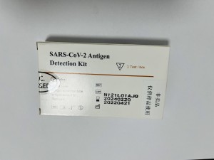 CE2934 New Packaging SARS-COV-2 ANTIGEN DETECTION KIT (1 TEST) (COLLOIDAL GOLD METHOD)