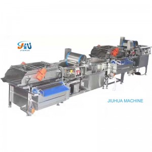 China Manufacturer For Vegetable Washer - Swirl Cleaning Machine – JIUHUA