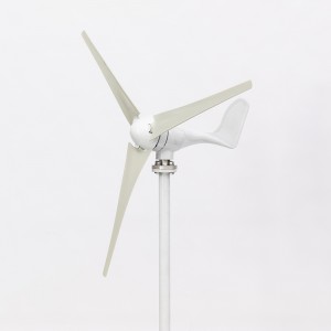 JLS 100W-1KW 12V 24V 48V Horizontal Wind Turbine Generator