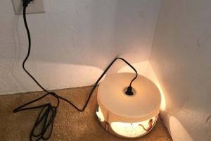 Natural and Pet-Friendly Dome Flea Trap Light with Two Glue Discs