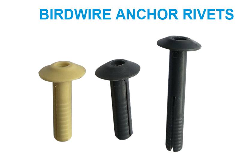 Birdwire Anchor Rivets