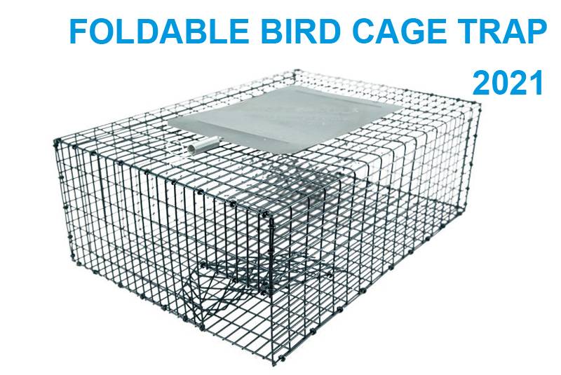 Discount wholesale Bird Wire Posts - Foldable bird cage trap 2021 – Jinglong