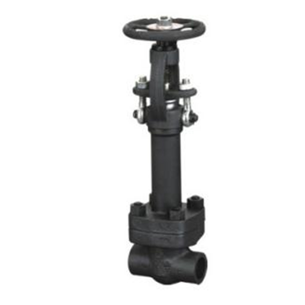 Forged steel low temperature gate valve