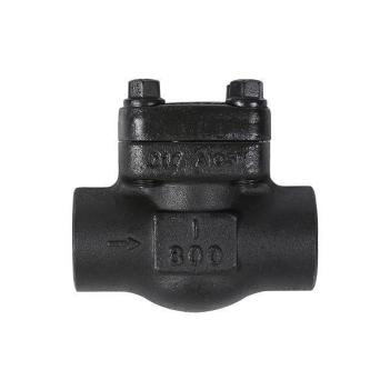 Forged steel NPT thread check valve Featured Image