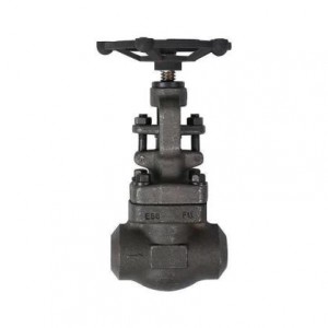 ປ່ຽງເຫຼັກ forged butt welded globe valve