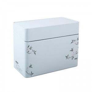 China wholesale Cosmetics Tin Case - Rectangle Hinged Tin Packaging ER0950A-01 for Skin Care – Jingli
