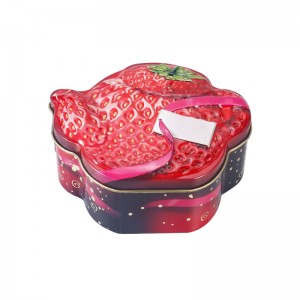 Professional China Tea Caddy Set - Teapot-shape tin box DR0658A-02 for tea – Jingli