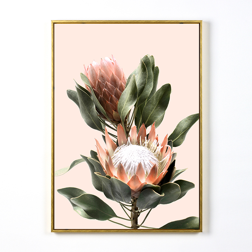 Pink king protea flower decorative painting with frame wall canvas