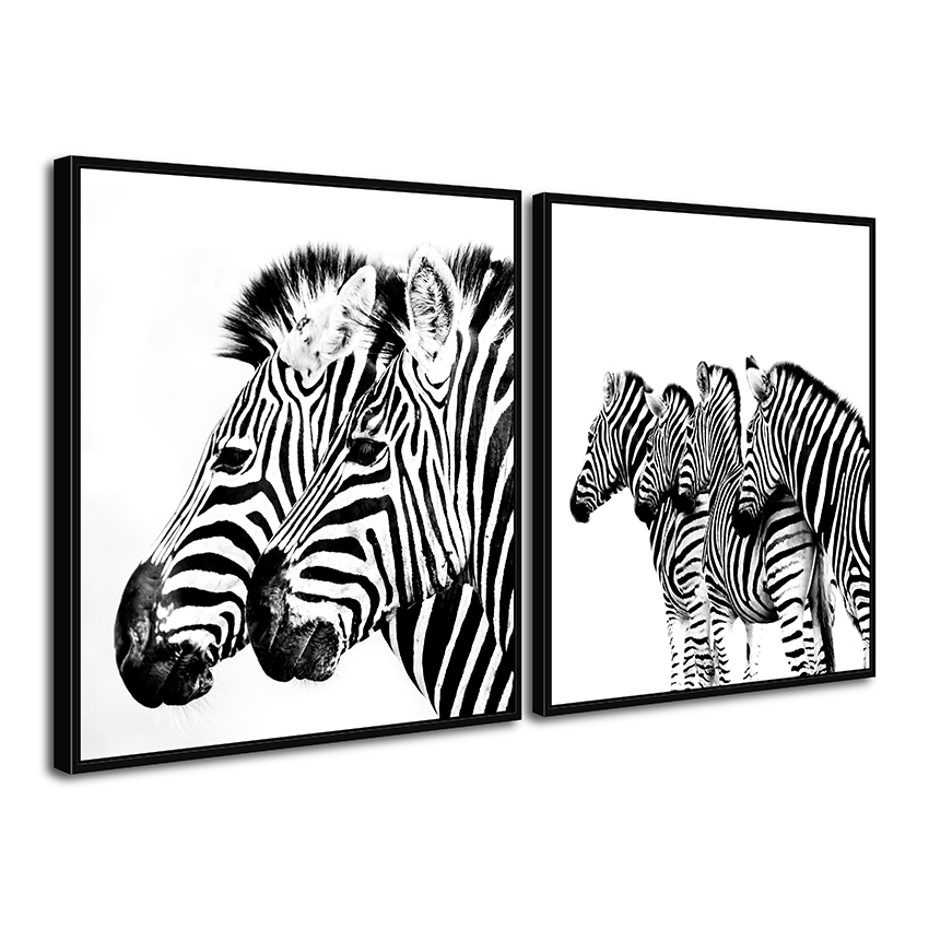 Framed Canvas Black and White Zebra Wall Art