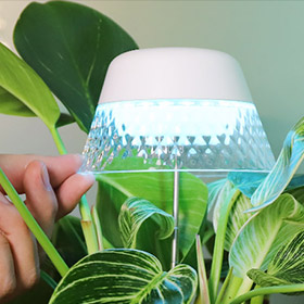 House Plant Light supplier