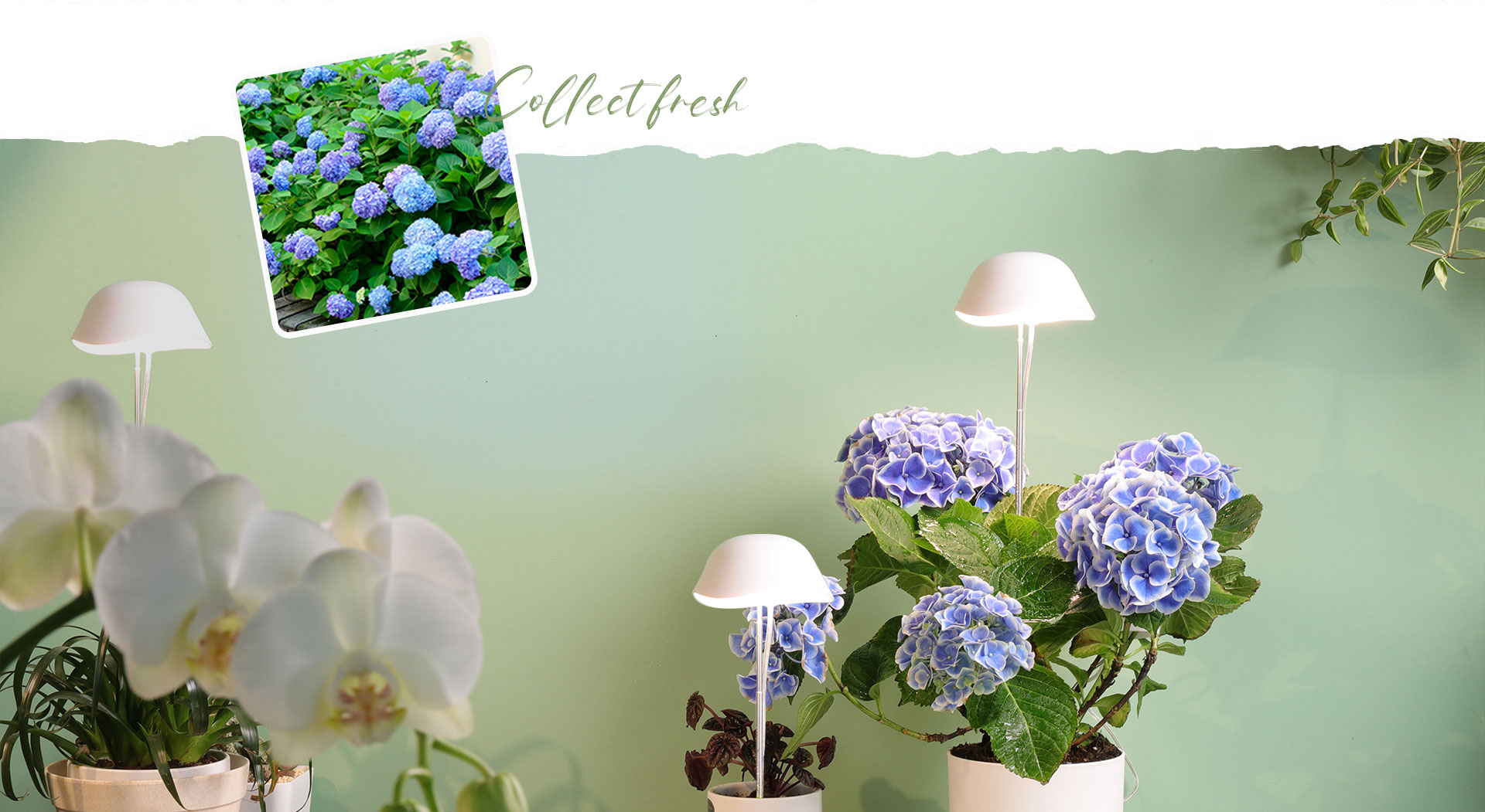 Mini Plant Light wholesaler