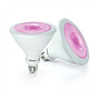 Popular Design for Sensor Night Light -
 Led Plant Light Bulbs, Best Indoor Light Grow Light Bulbs, Daylight Bulbs for Plants – J&C Lighting