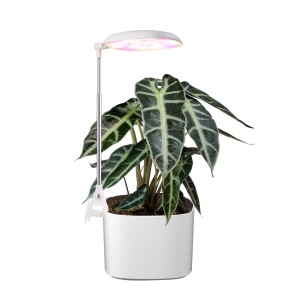 Hot Selling for Light For Indoor Plants - TG303 DIY Best LED Grow Lights for Growing LED Grow Lights for Indoor Plants Starter Garden – J&C Lighting