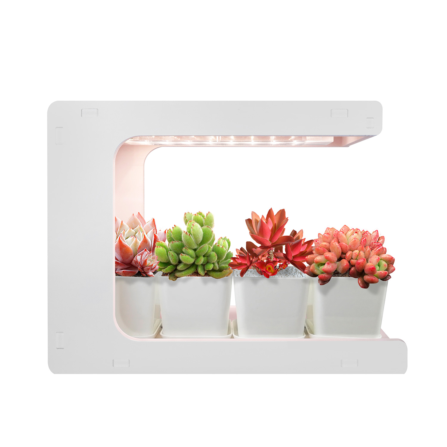 MG009 Indoor Growing Kits for Indoor Plants  Apartment Herb Kitchen Growing Kit  Indoor Grow Lamp