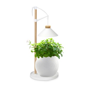 OEM Customized Self Watering Indoor Herb Garden - MG402 tabletop indoor grow kits desk lamp full spectrum Indoor Grow Kits – J&C Lighting