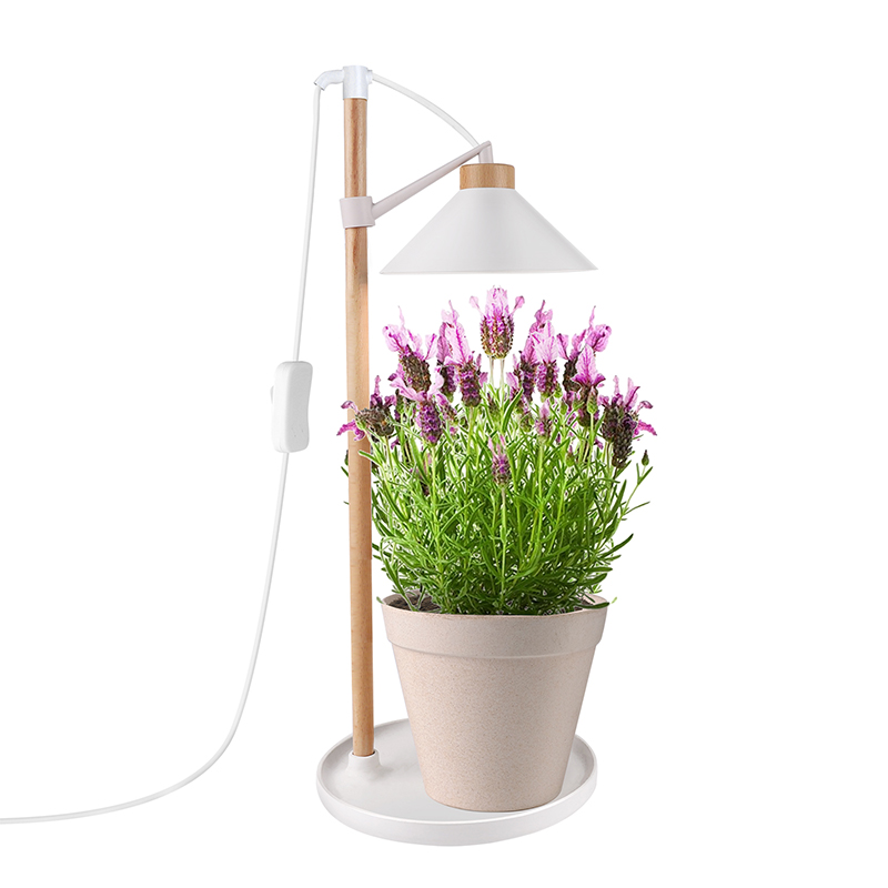 Cheapest Price Daylight Bulbs For Plants -
 MG402 tabletop grow light desk lamp full spectrum grow lights – J&C Lighting