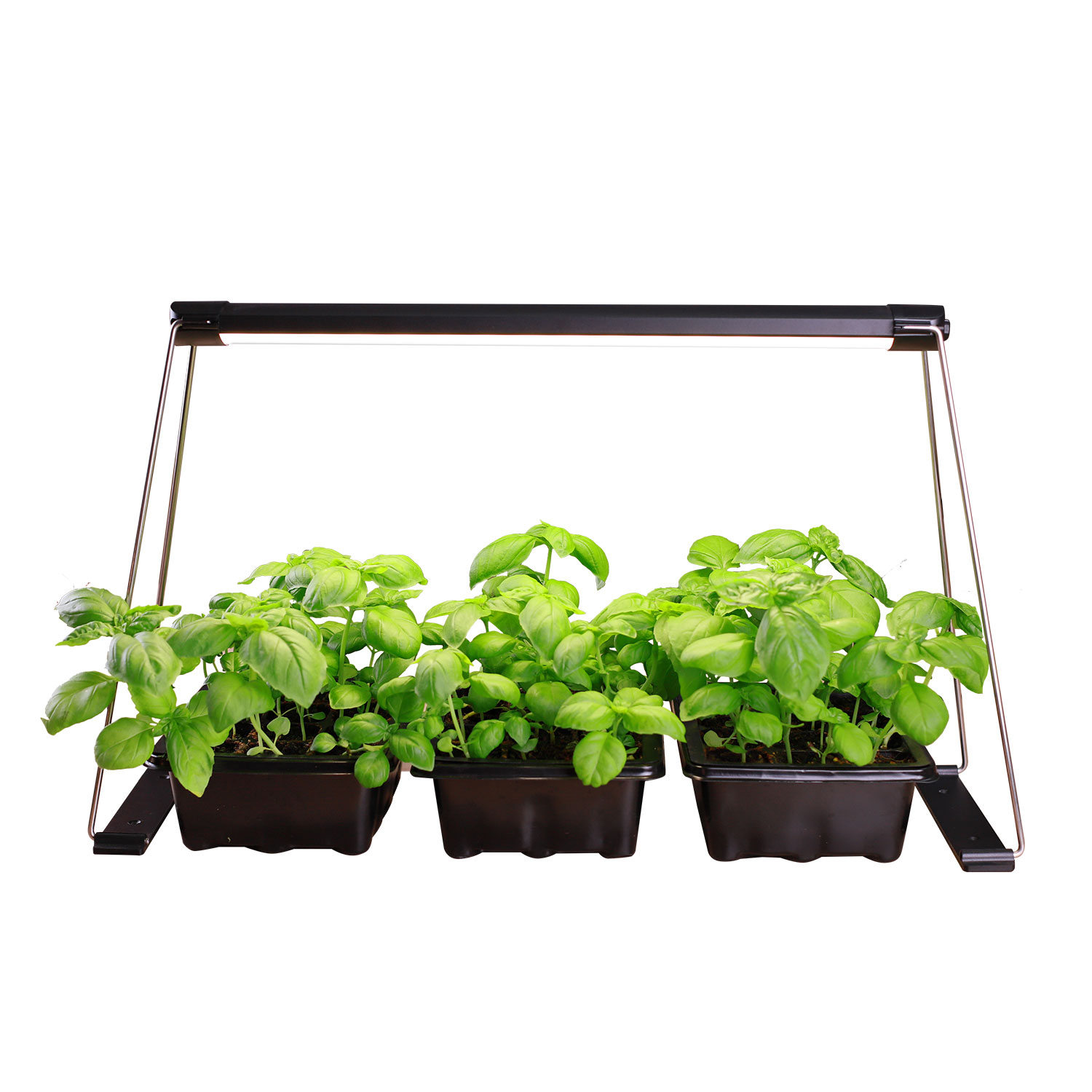 TG101 mini garden indoor herb garden starter kit plant light for succulents