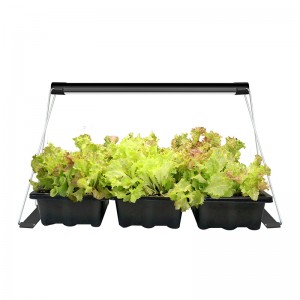 New Fashion Design for Kitchen Grow Light -
 TG101 mini garden indoor, herb garden starter kit, plant light for succulents – J&C Lighting