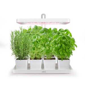 OEM/ODM Supplier Benchtop Herb Garden - MG101 Herb Garden Grow Light Kit Growing System Indoor Gardeners Kitchen – J&C Lighting