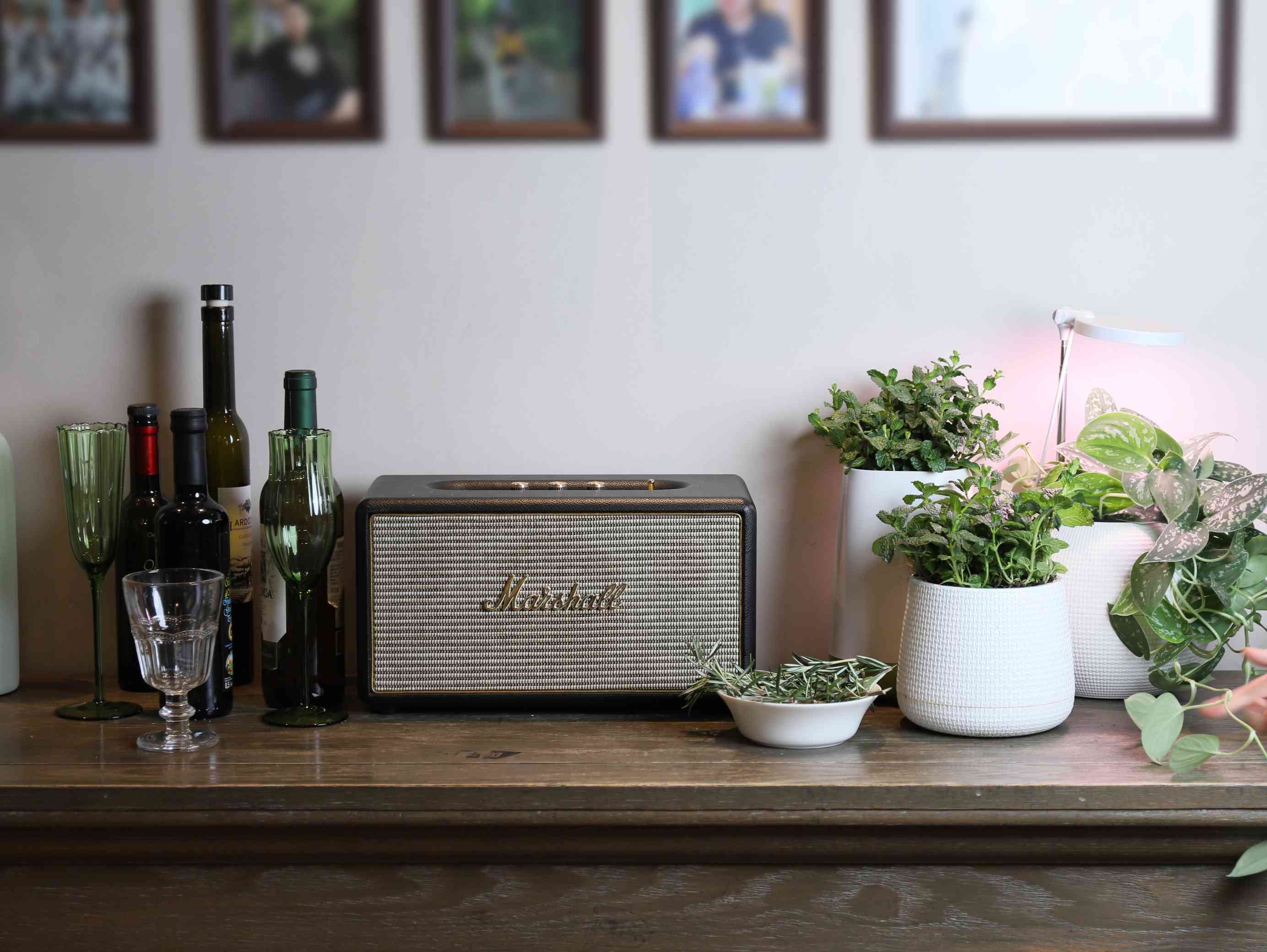 Three Important Reasons to Decorate Your Home with Small Garden