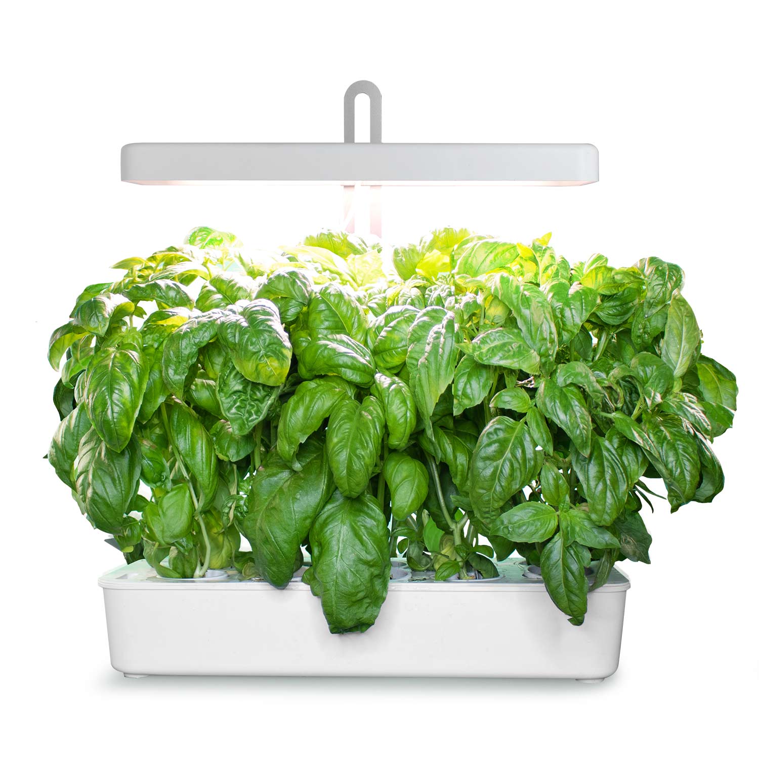homemade hydroponic system manufacturer