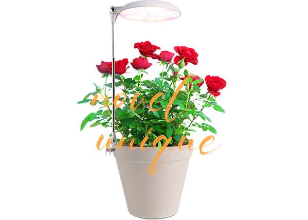 house plant grow light wholesaler