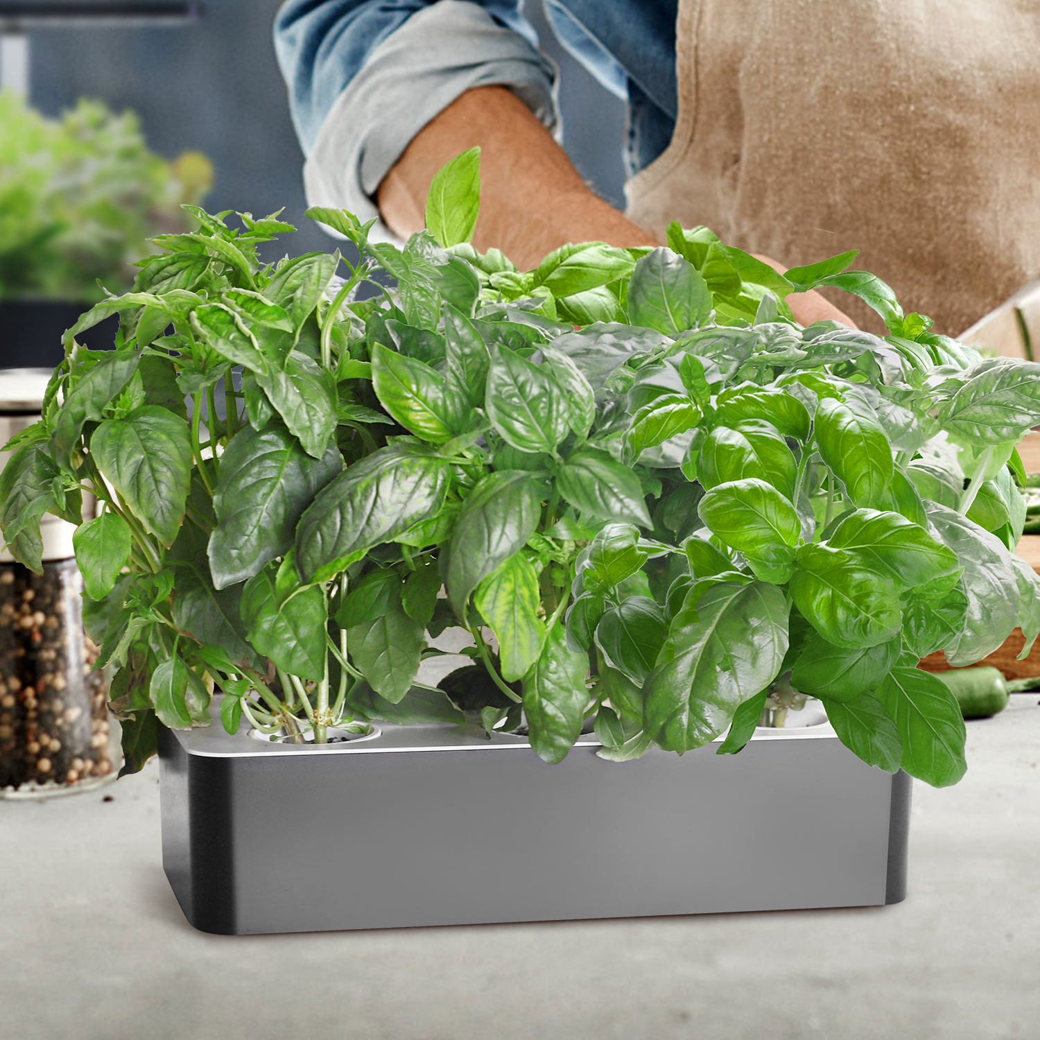 hydroponic garden kit