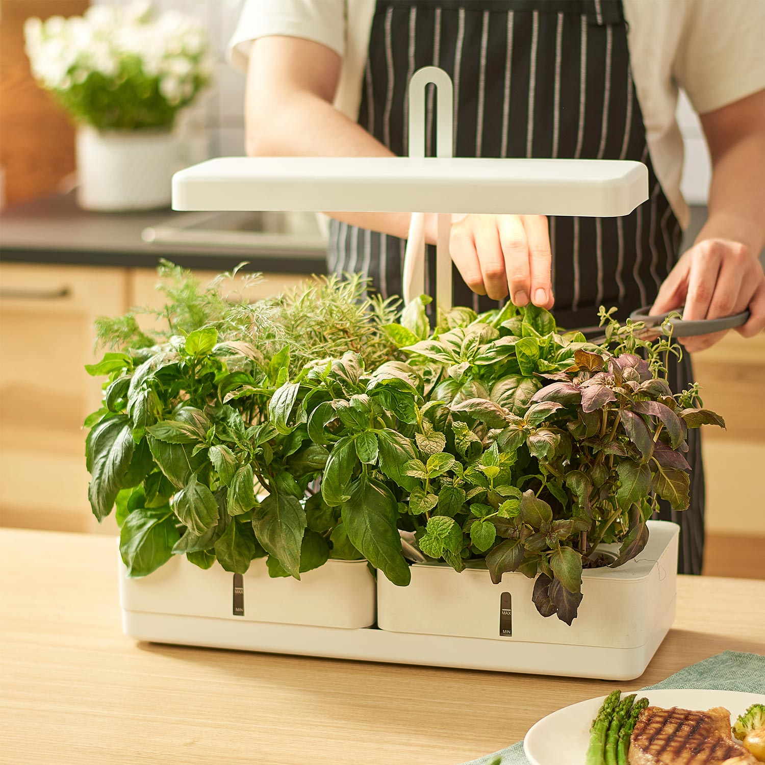 MG102 Indoor Hydroponic Plants Garden Herb Smart Gardening Indoor Vegetable Garden Kit