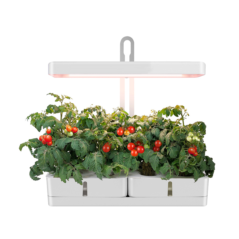 20W Indoor Hydroponic Plants Garden Herb Grow Light Indoor Vegetable Garden Kit Featured Image