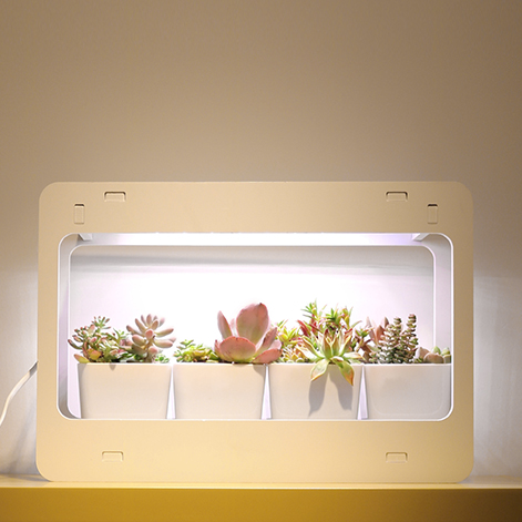 hydroponic system indoor