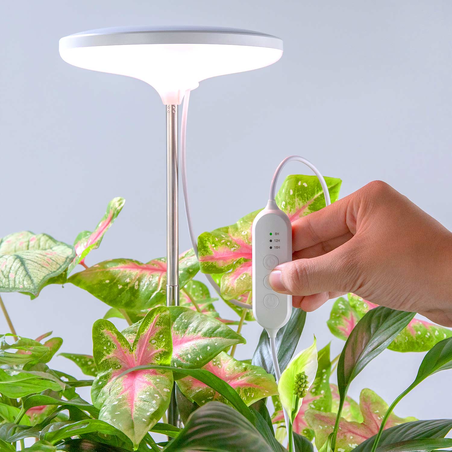 TG004 Indoor Smart Plant Grow Light Lamp Garden  Grow Lights  Decorative Plant Lights