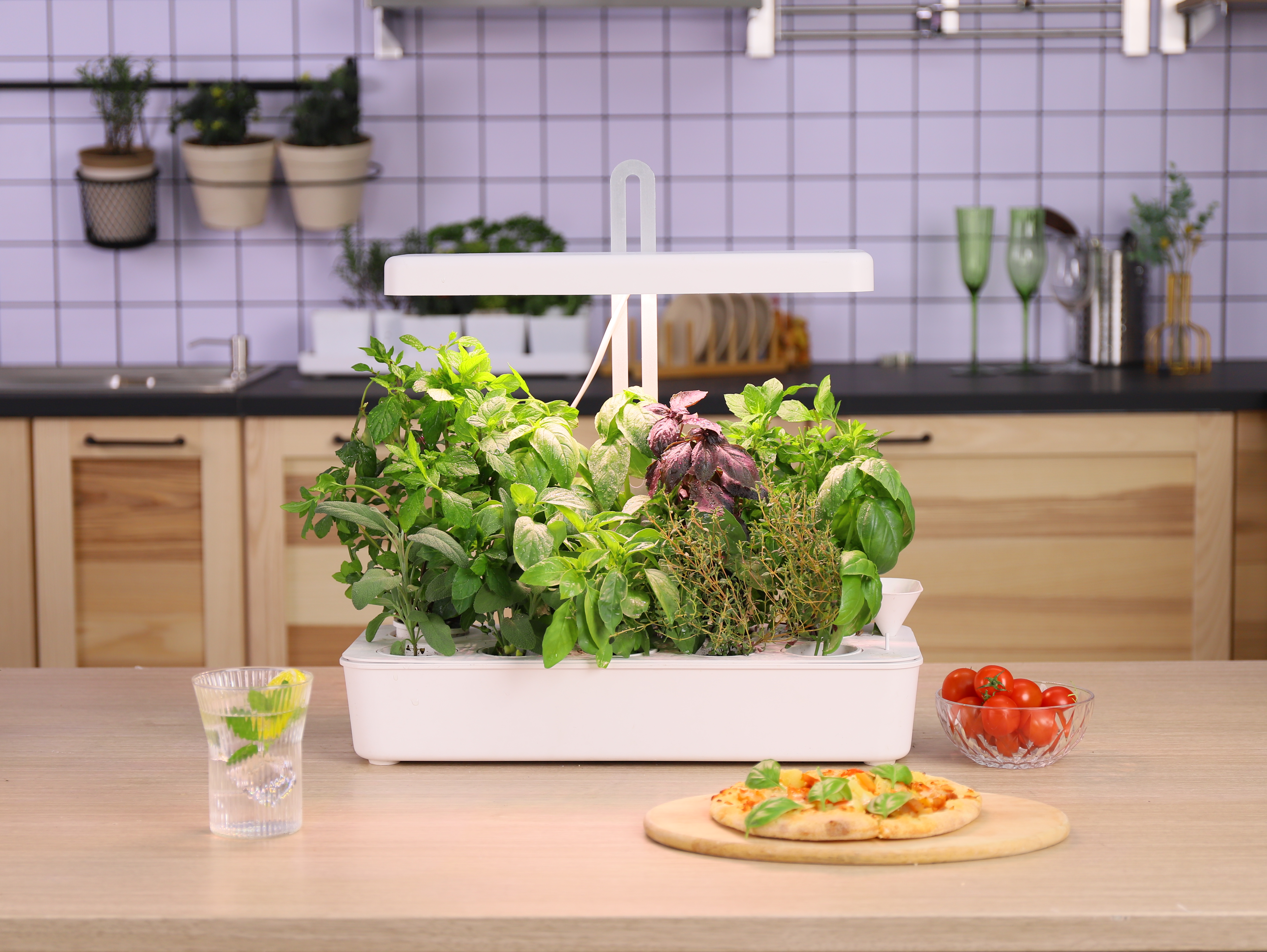 Wonderful Solutions of Five Big Troubles When Start Kitchen Garden