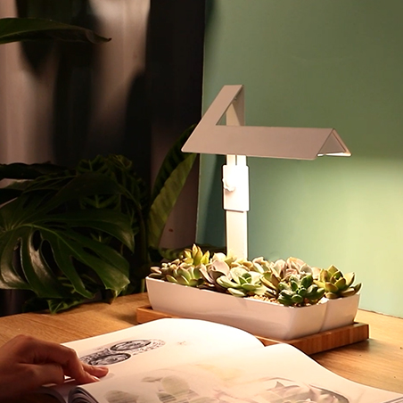 indoor led grow lights supplier