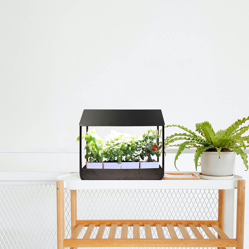 Indoor Plant Lamp, Indoor Kitchen Window Herb Garden Kit, Green Light for Plants