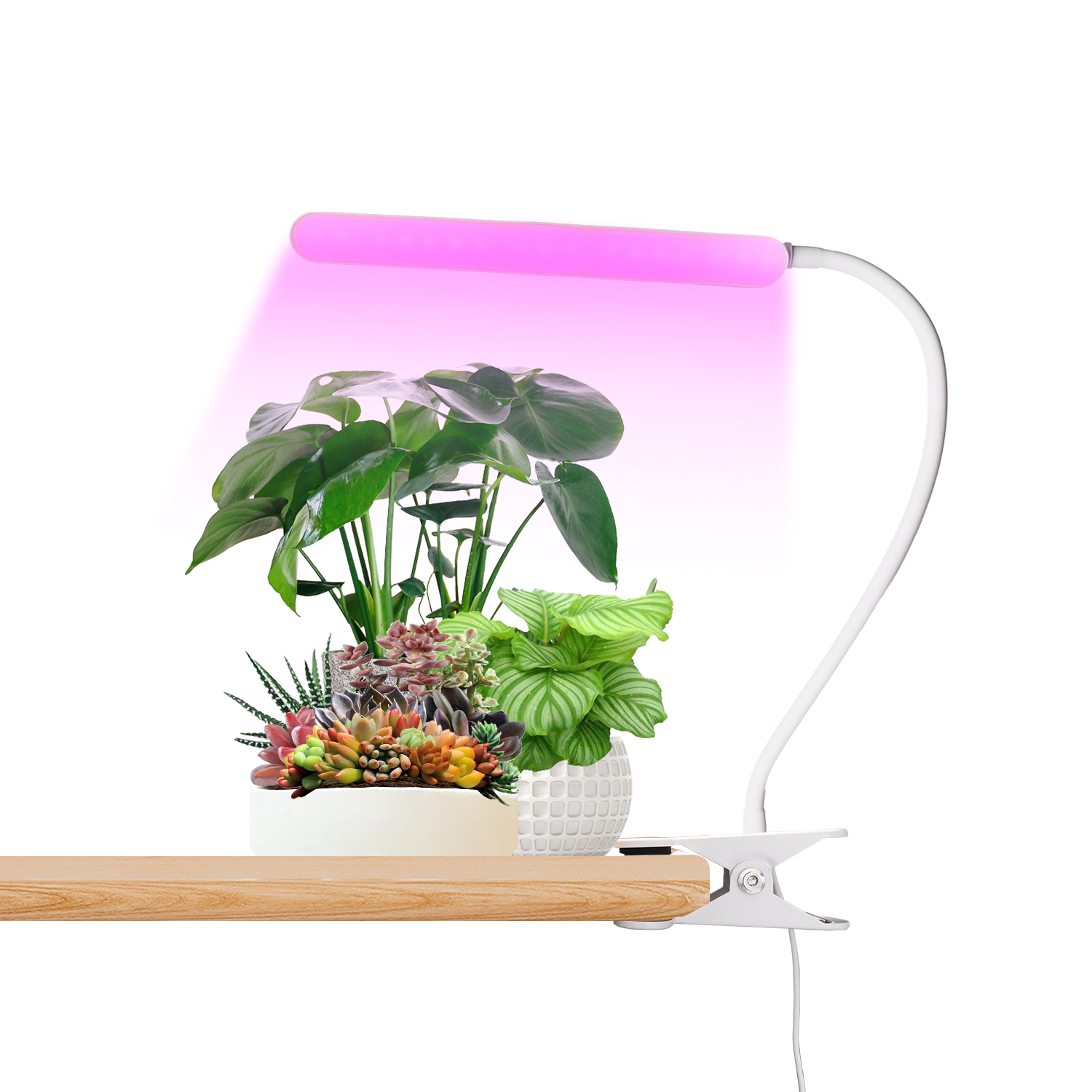 TG201 Led Indoor Garden Plant Lights for Winter Best Grow Lights Plant Growing Kit