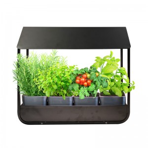 Cheap PriceList for Indoor Grow Light Setup - Indoor Plant Lamp, Indoor Kitchen Window Herb Garden Kit, Green Light for Plants – J&C Lighting