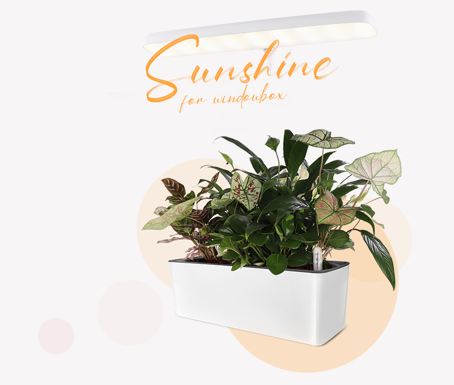 indoor planter with light factory
