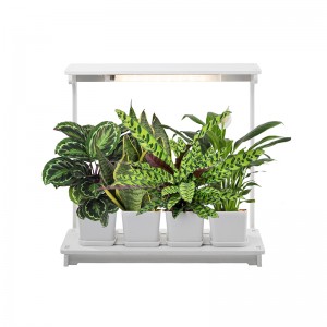 2021 Latest Design Led Grow Lights For Succulents -
 Grow Lights for Plants, Indoor benchtop Herbs Kitchen Garden, Window Herb Garden Kit – J&C Lighting