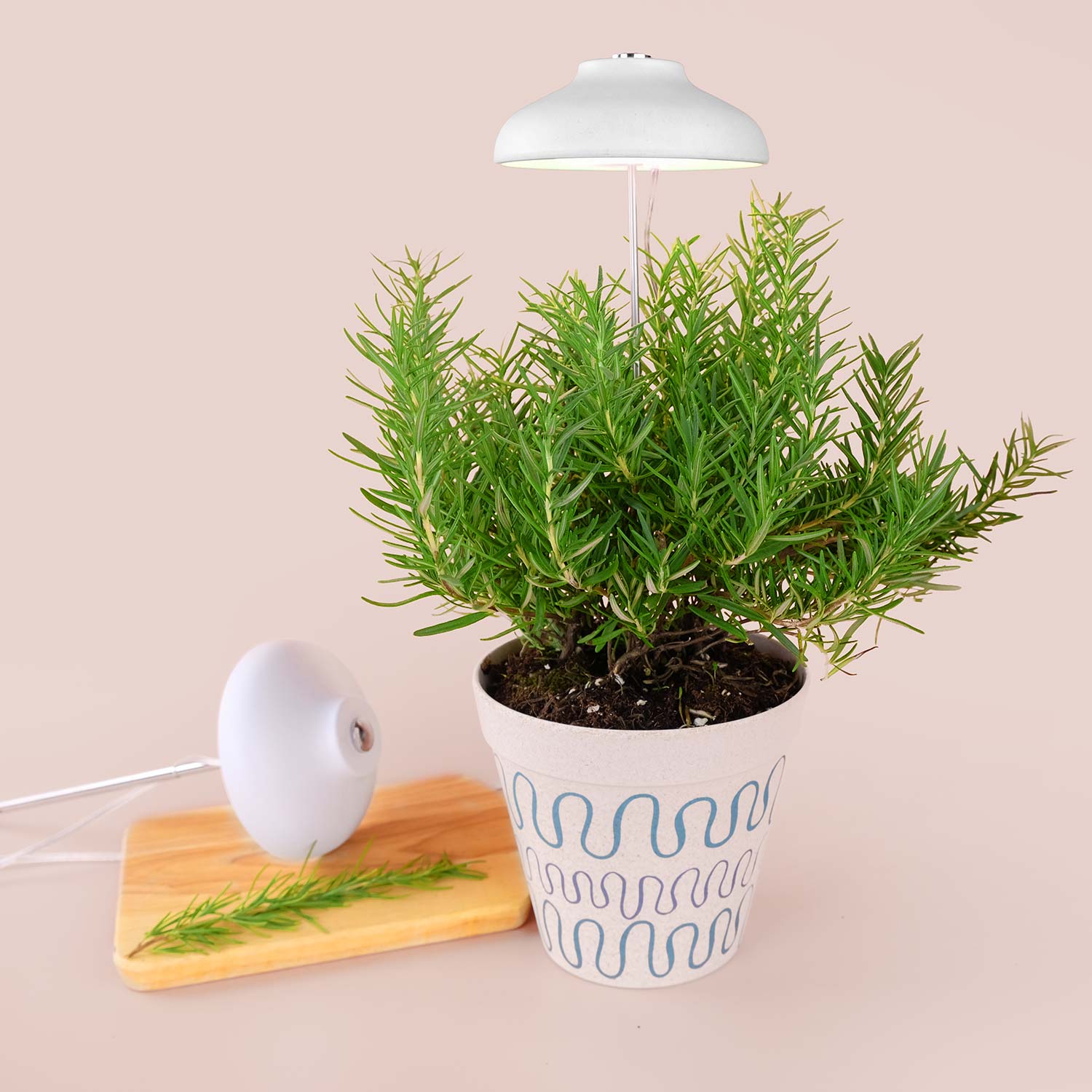 TG003 5W LED Umbrella Microgreen Grow Light with Timer Inside Herb Garden Kit