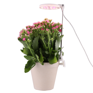 Best Price on Grow Light Wattage For Indoor Plants -
 Inside Herb Garden, indoor led full spectrum grow kit, indirect sunlight for plants – J&C Lighting