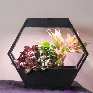 Top Suppliers Best Grow Light For Herbs - MG304 Kitchen Herb Garden, Indoor Greenhouse with Lights, Hanging Lights with Plants – J&C Lighting