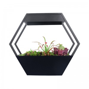 Professional China Plant Light -
 Kitchen Herb Garden, Indoor Greenhouse with Lights, Hanging Lights with Plants – J&C Lighting