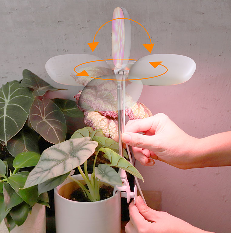 plant lights for succulents supplier