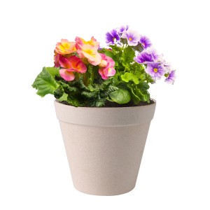 High Quality Flower Pots -
 House Plant Care Kit, Indoor Plant Pots for Herbs, Seed Starting Germination Kit – J&C Lighting