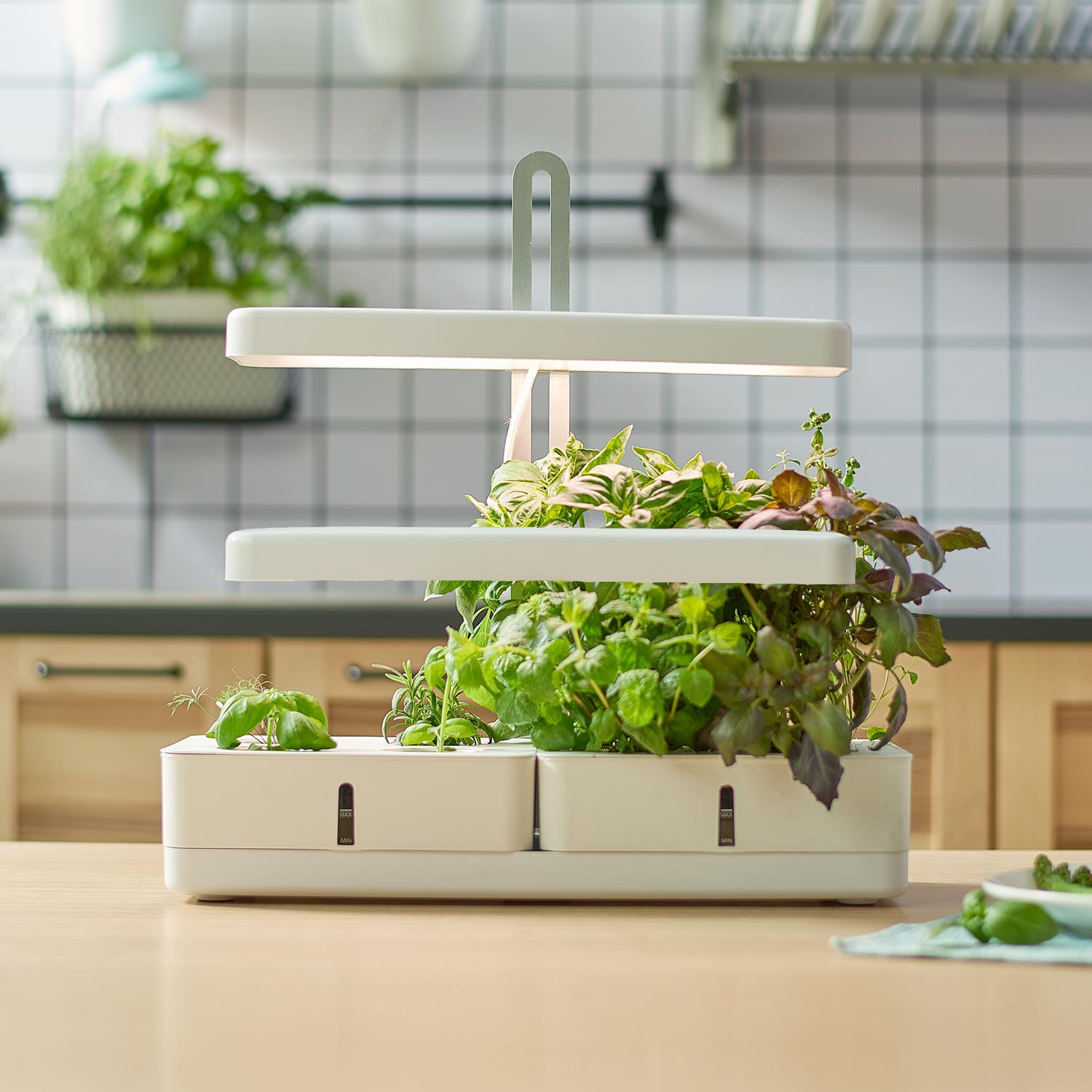 SPH001 Lucerne mini garden indoor hydroponics box 4 pods system herb garden pots