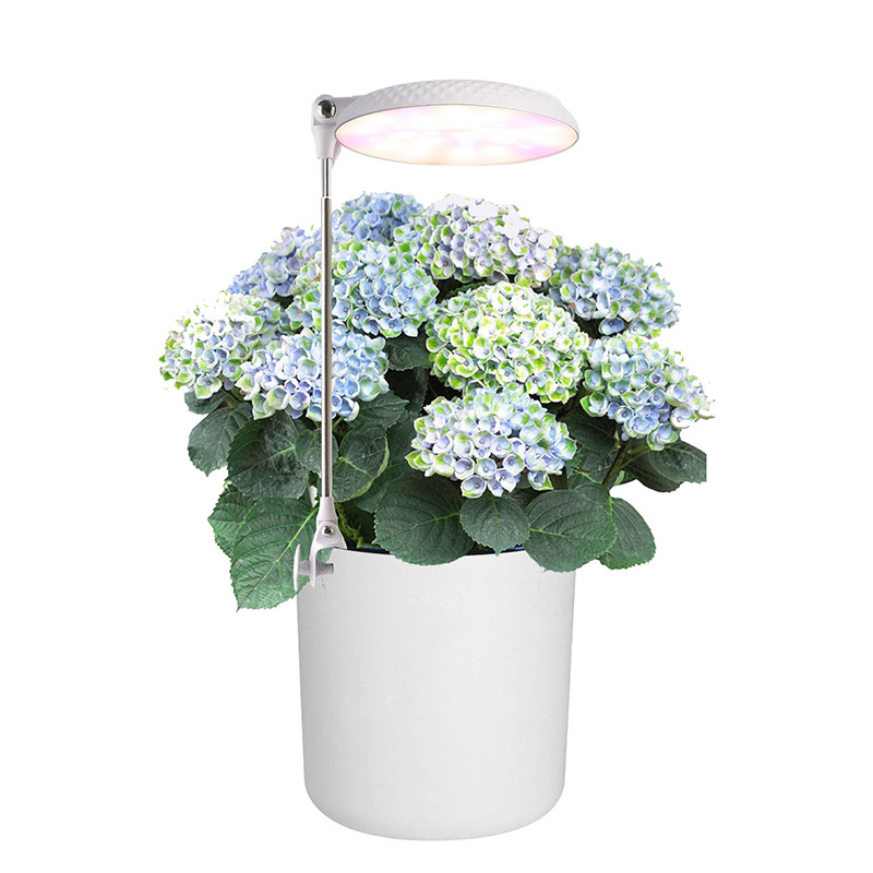 small plant lights supplier