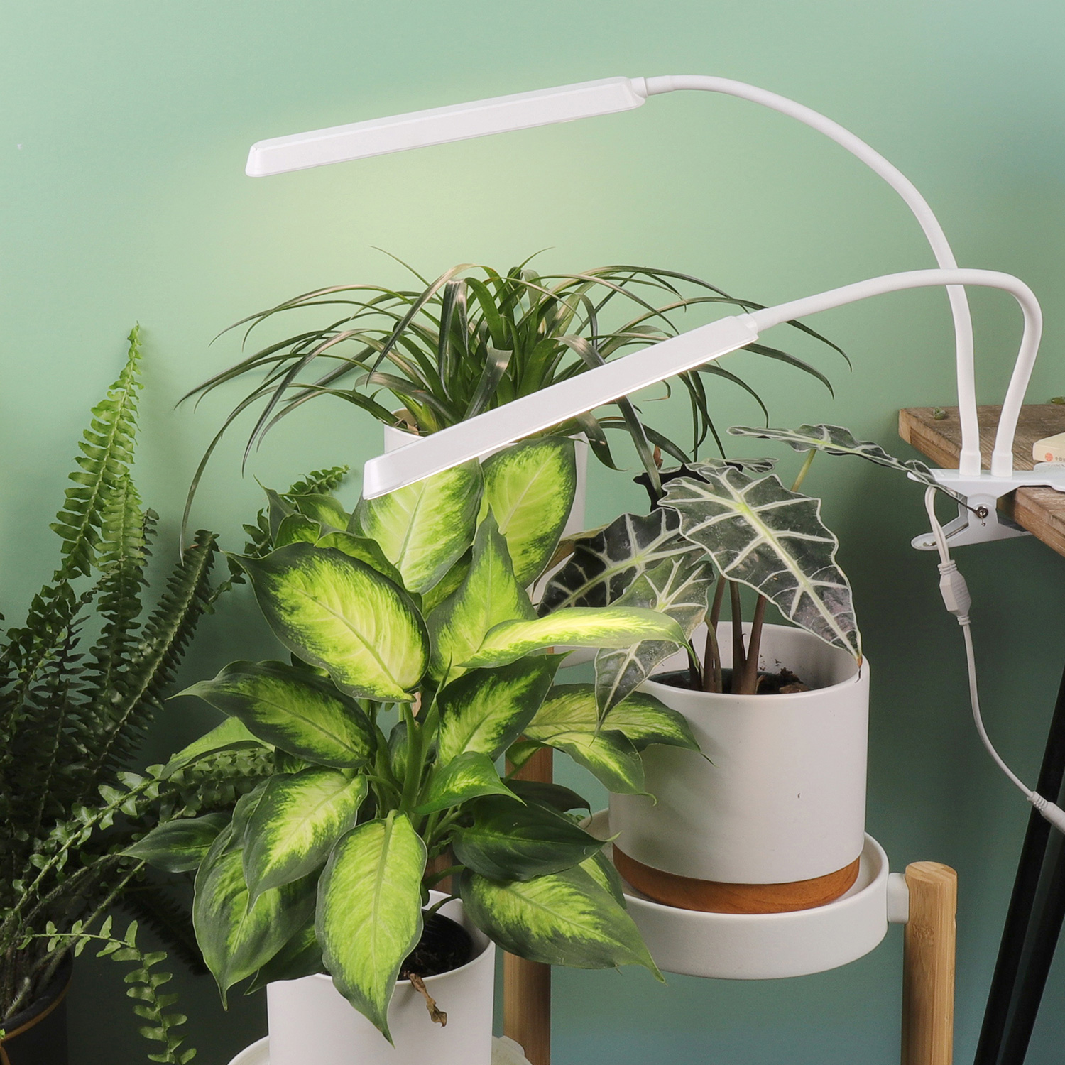 Popular Design for Peace Lily Light - TG201 Led Indoor Garden Plant Lights for Winter Best Grow Lights Plant Growing Kit  – J&C Lighting detail pictures